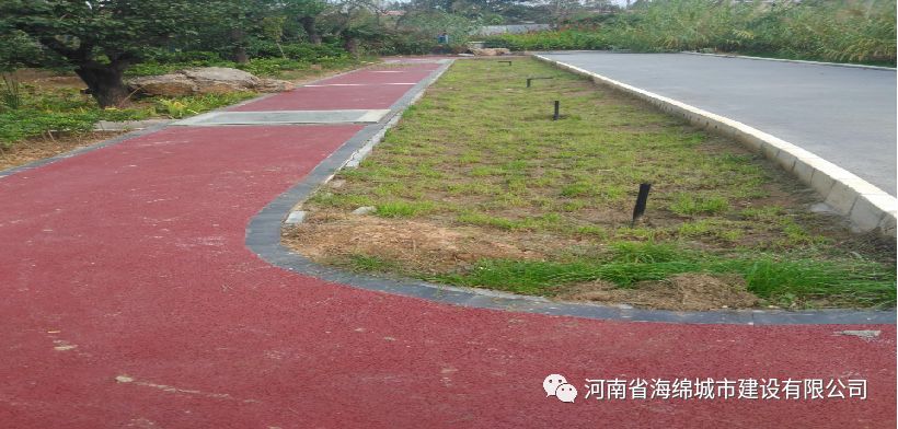 城市之肾,为城市水系“ 排毒”“解毒” 城市之肾,为城市水系“ 排毒”“解毒”