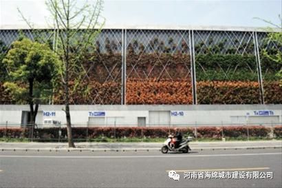 飞檐走壁的植物——未来的墙上花园1 飞檐走壁的植物——未来的墙上花园1