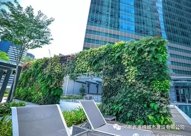 飞檐走壁的植物——未来的墙上花园1 飞檐走壁的植物——未来的墙上花园1