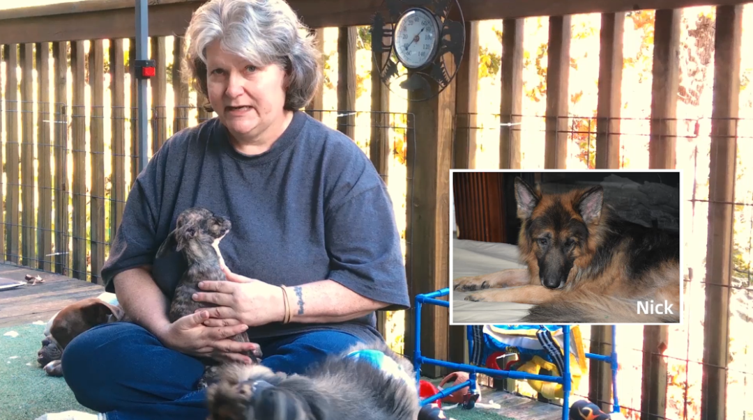 太有爱！54岁的3D打印初学者，为有特殊需要的狗定制了义肢和头盔的图7