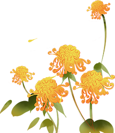 为什么吸氧管子是一边的关于吸氧的那些事儿_https://www.jmylbn.com_新闻资讯_第1张