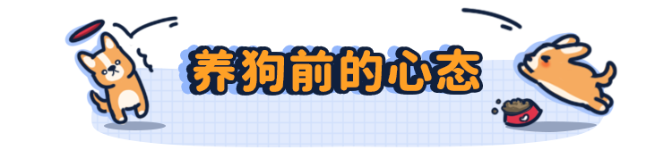 刚买的狗狗怎么训练_需要训练狗狗哪些项目_平常训练狗狗要用什么样的