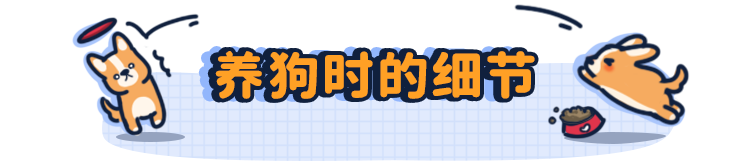 刚买的狗狗怎么训练_需要训练狗狗哪些项目_平常训练狗狗要用什么样的