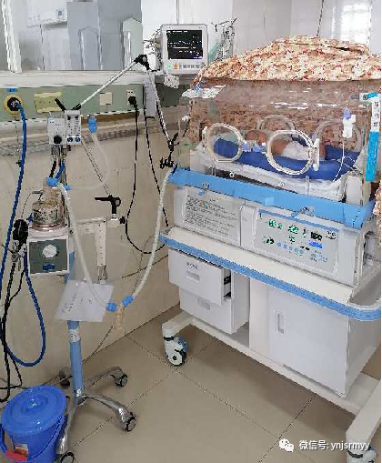 为什么新生儿抢救台【健康科普】早产儿生命的管道-脐静脉置管术_https://www.jmylbn.com_新闻资讯_第14张