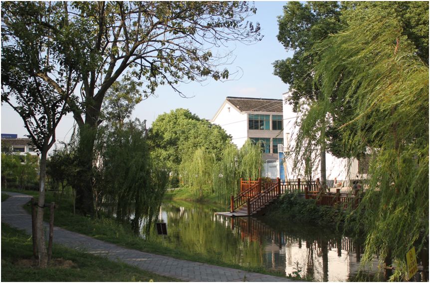 江阴这个新晋“省级美丽乡村” 真的非常美丽