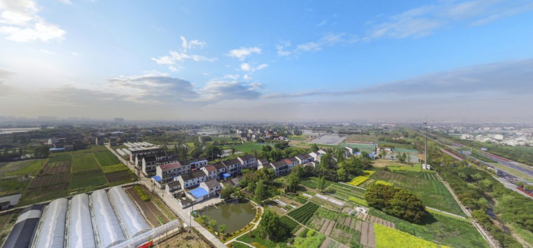 江阴3家农民合作社入围国家级榜单