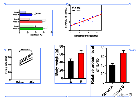 ai导出pdf多页画册_ai导出pdf设置_ai怎么导出pdf