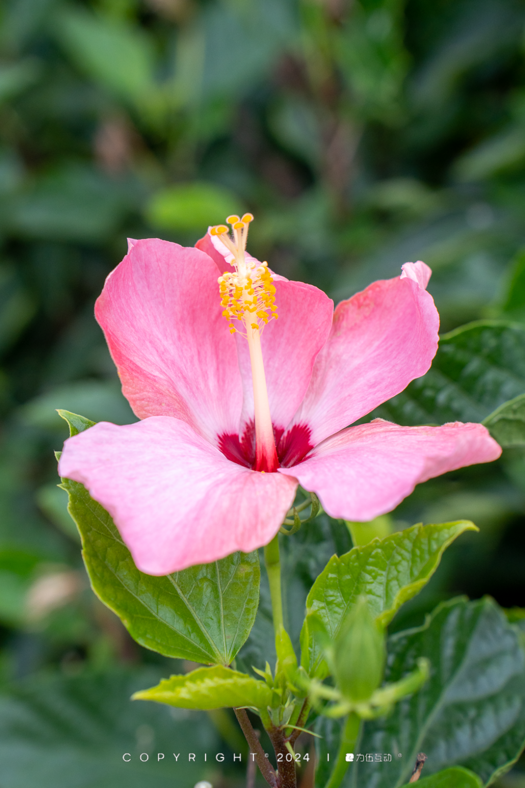 说珠海周末不好玩的人先看看这篇