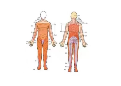 为什么糖尿病不能震动【新设备】糖尿病患者的“福音”——震动感觉阈值（VPT）检测仪来啦！_https://www.jmylbn.com_新闻资讯_第2张