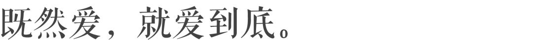 敘利亞丨就算恐怖分子炸死我，我也不會放開這180只貓。 未分類 第12張