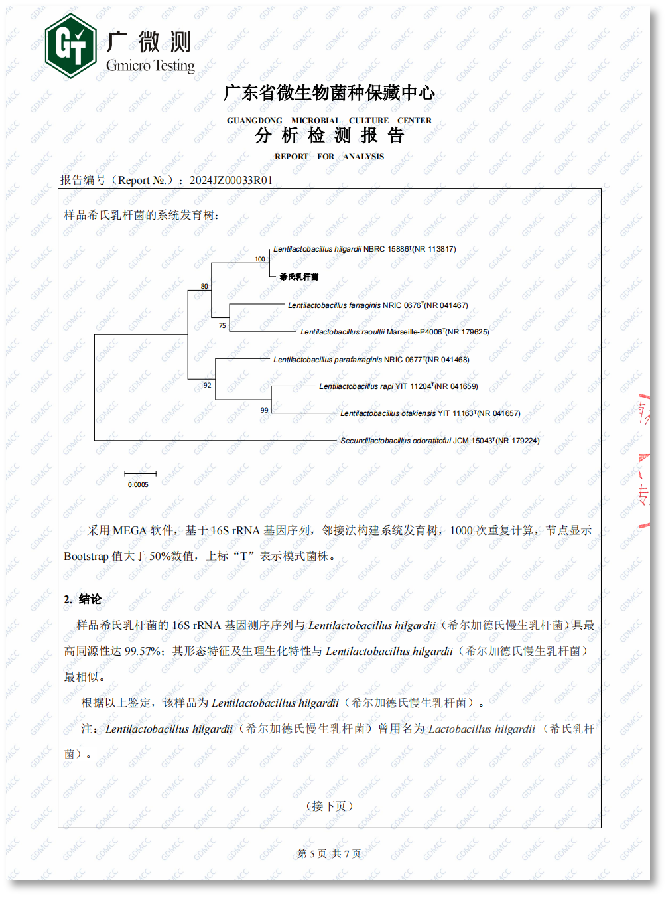 γ-氨基丁酸GABA天然乳酸菌发酵