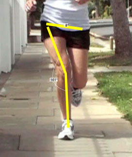 步态分析上曲线怎么解读超详细步态分析！一文读懂_https://www.jmylbn.com_新闻资讯_第21张