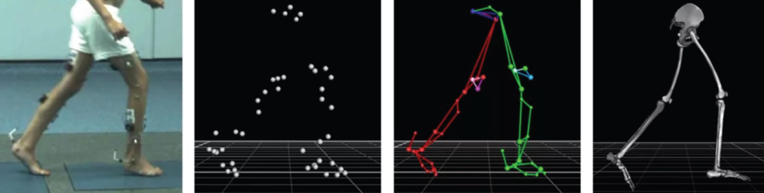 步态分析上曲线怎么解读超详细步态分析！一文读懂_https://www.jmylbn.com_新闻资讯_第6张