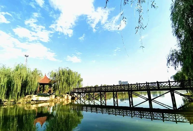 冬览曹州 | 长寿之乡转一转,美食美景全都有! - 好客山东网