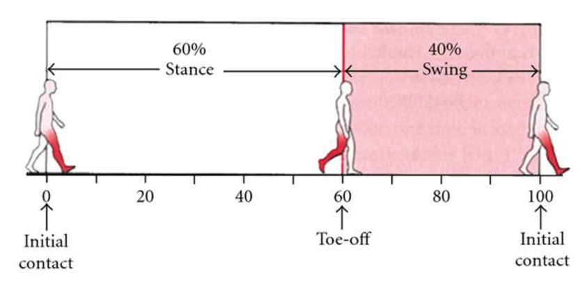 步态分析上曲线怎么解读步态分析，认识我们的步态和异常步态_https://www.jmylbn.com_新闻资讯_第4张