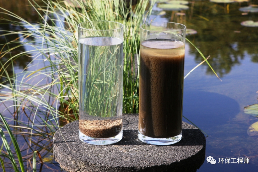 好氧颗粒状污泥