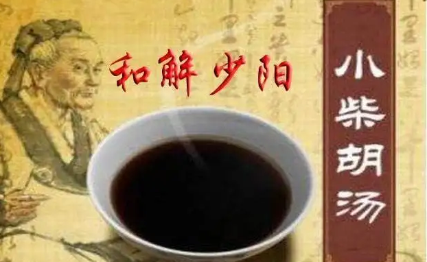 小柴胡汤的功效与作用及组方用量是多少克