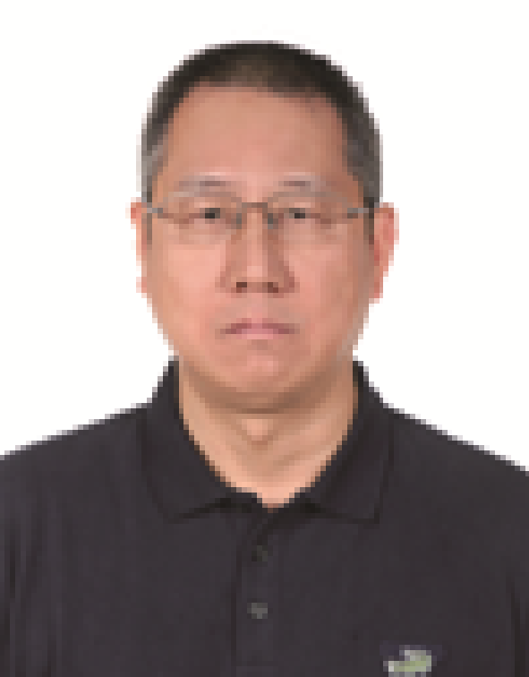 先进集成电路技术展望的图2