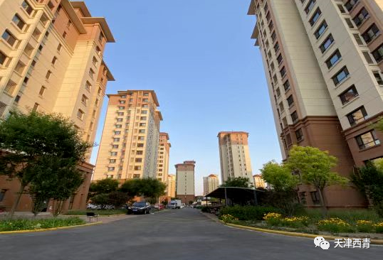 贯彻落实市第十二次党代会精神西青区2022年街镇书记访谈明日走进辛口