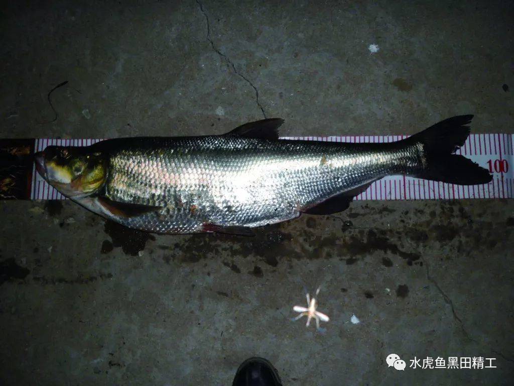 那都是骗人的, 真相在这里【保定重金属开采联盟】