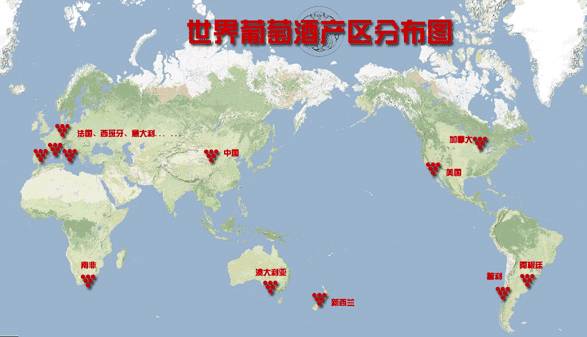 掌握这些红酒知识，就入门了~