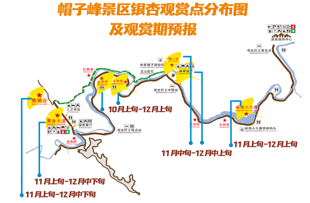南雄赏银杏游玩攻略，看这一条就够了！(图20)