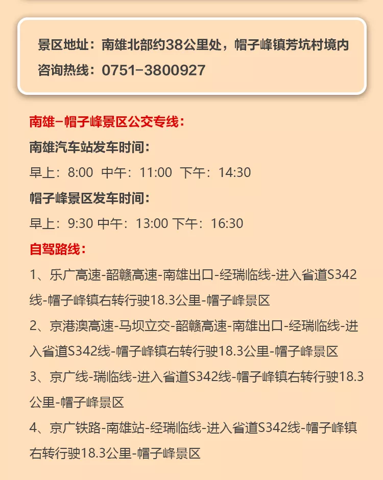 南雄赏银杏游玩攻略，看这一条就够了！(图31)