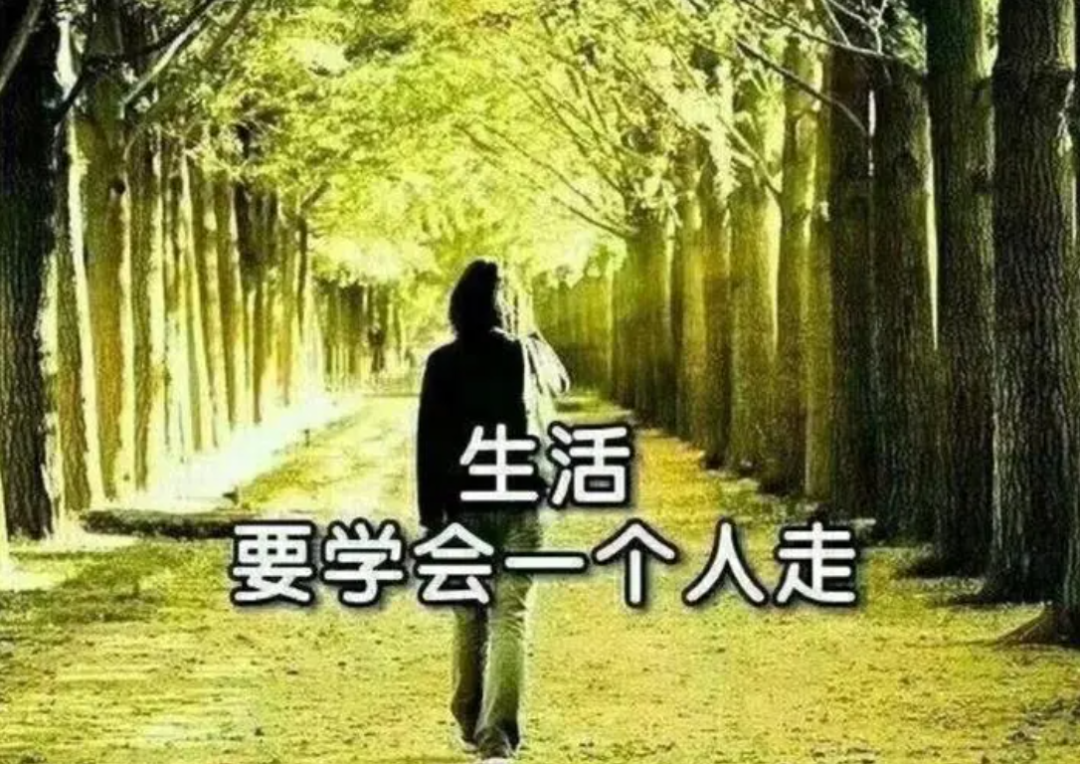 人生感悟经典短句,触动人心的生活感悟语录(人生感悟经典短句,触动
