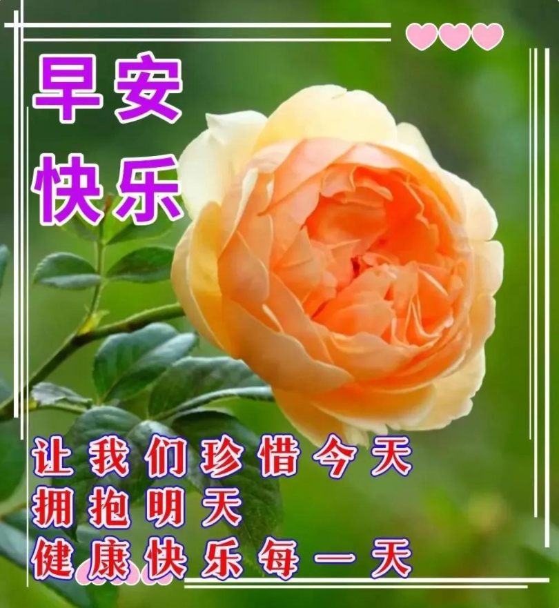 优雅清新的早安图片大全,早安励志语录经典语句_非主流个性网
