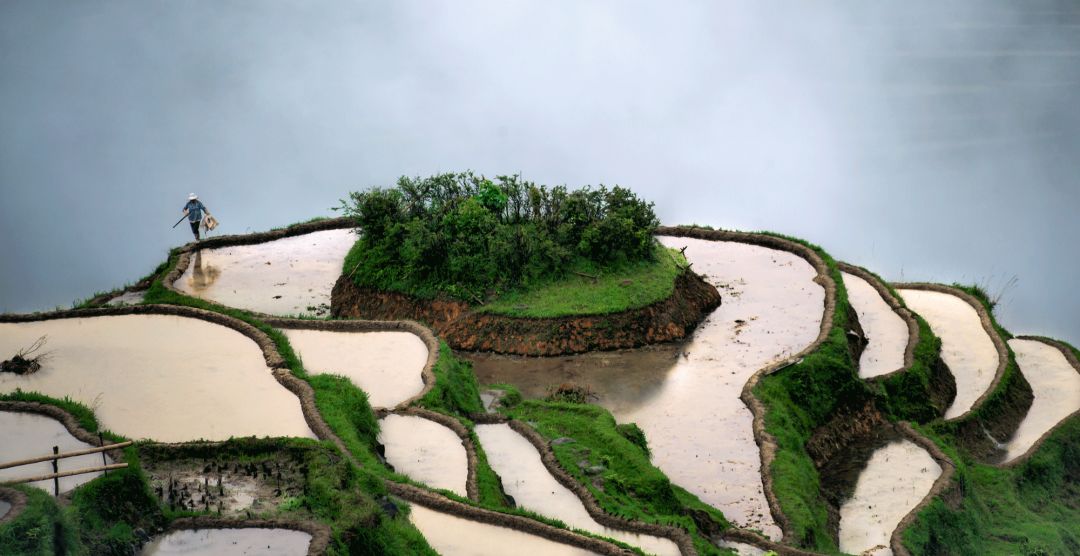 失落的稻米王國 旅遊 第3張