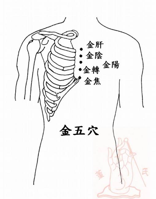 董氏奇穴雙河穴喉蛾九穴胃毛七穴金五穴