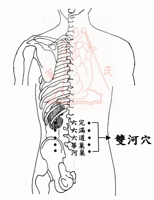 董氏土胃位置图片图片