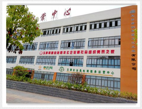实施“红色引擎”工程着力提升非公党建水平