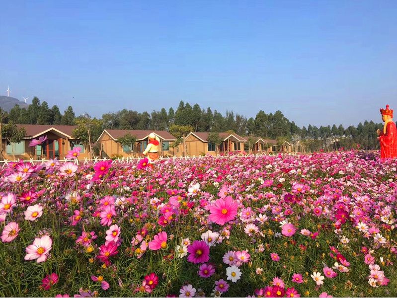 【预售抢购】阳江海陵岛山海经花海木屋别墅(两房一厅(抢购时间:2018