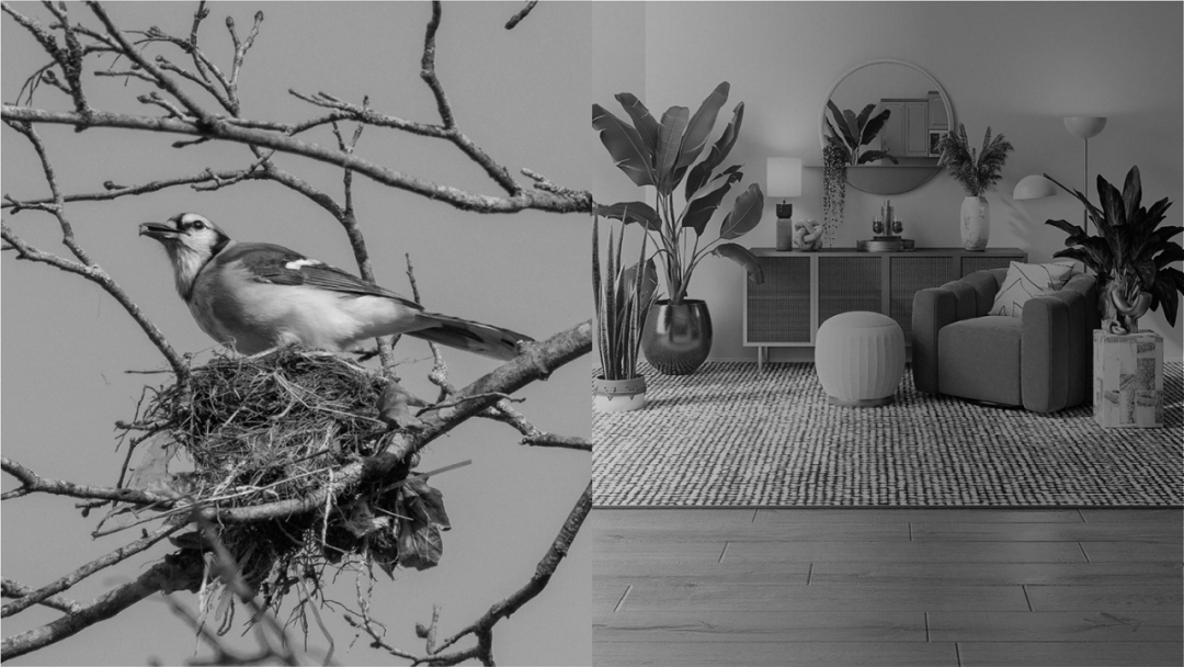 10个关于“鸟”的仿生设计的图3