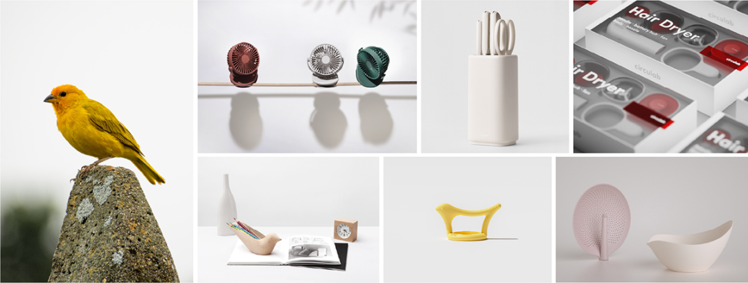 10个关于“鸟”的仿生设计的图5