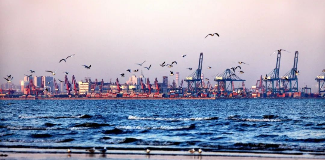 为何日本的产品设计会如此之强？的图10