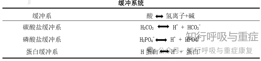 第163期酸碱平衡的调节机制及血气分析温故知新