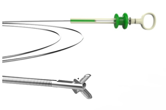 为什么说热活检钳做胃肠镜检查时，为什么要取活检？有必要吗？_https://www.jmylbn.com_新闻资讯_第4张