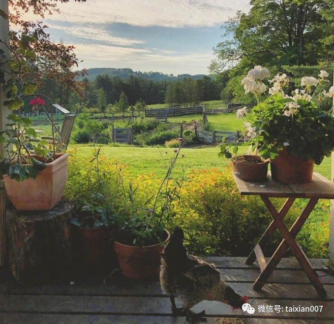 有个小院，和最好的朋友一起同居养老