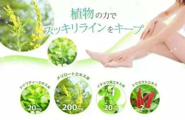 全球300萬人都在吃的日本瘦腿丸 7天瘦4cm 吃出ps效果 Artist 微文庫