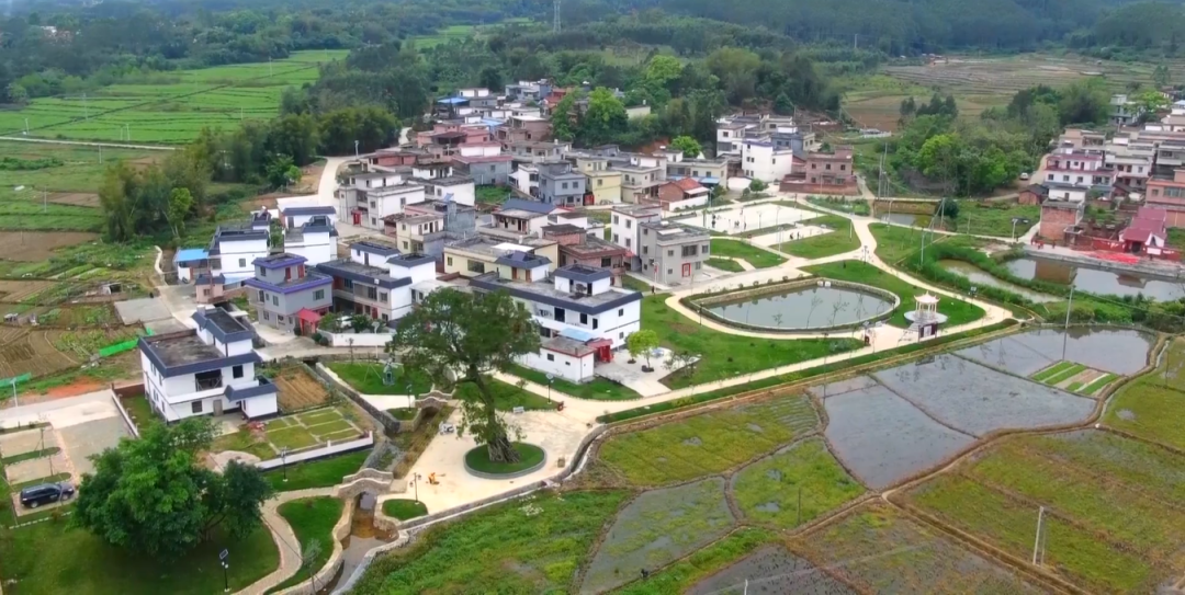 新江镇阳河村:美丽乡村入画来-翁源县人民政府