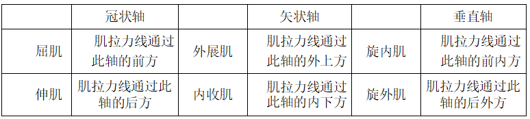 为什么会有单关节器械带背第五期 ｜ 体育动作解剖学分析_https://www.jmylbn.com_新闻资讯_第5张