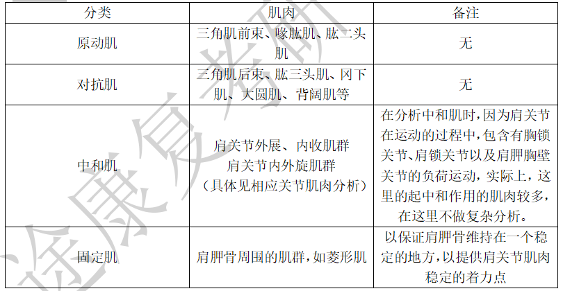 为什么会有单关节器械带背第五期 ｜ 体育动作解剖学分析_https://www.jmylbn.com_新闻资讯_第4张