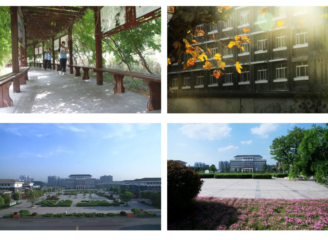 学校招聘邳州市炮车中学邳州一