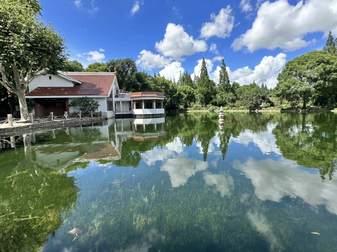 第 11 个：赏夏日美景，这些宝藏公园等你来打卡！：星空体育注册网址是什么意思