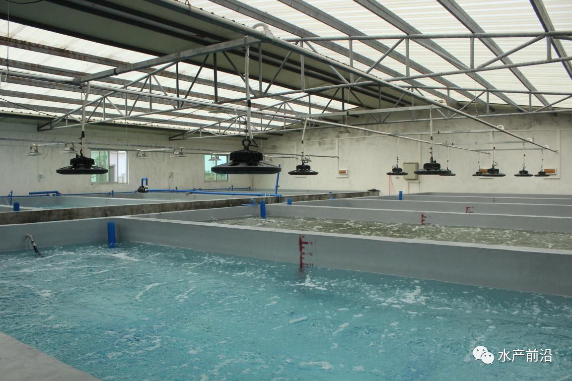 藻类三级扩培车间