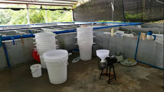 5年时间摸索丰年虫工厂化养殖技术,成活率达95%,现开出天价转让技术,