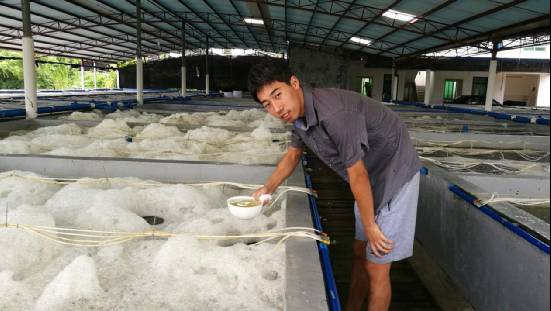 5年时间摸索丰年虫工厂化养殖技术,成活率达95%,现开出天价转让技术,