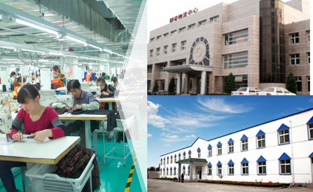 德信体育官网荣获2019年全国服装行业百强企业(图6)